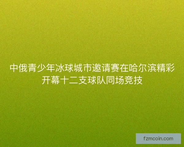 中俄青少年冰球城市邀请赛在哈尔滨精彩开幕十二支球队同场竞技